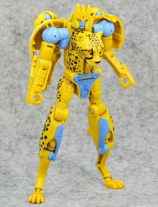 custom kingdom cheetor